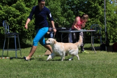 20170610134644_IMG_5748