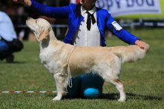 IMG_6179-scaled