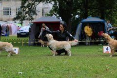 IMG_6307-scaled