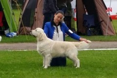 20945227_1541732025883082_63744923_o