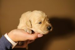 IMG_4138-scaled