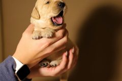 IMG_4557-scaled