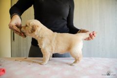 IMG_5422-scaled