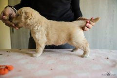 IMG_5628-scaled