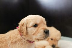 IMG_6094-scaled
